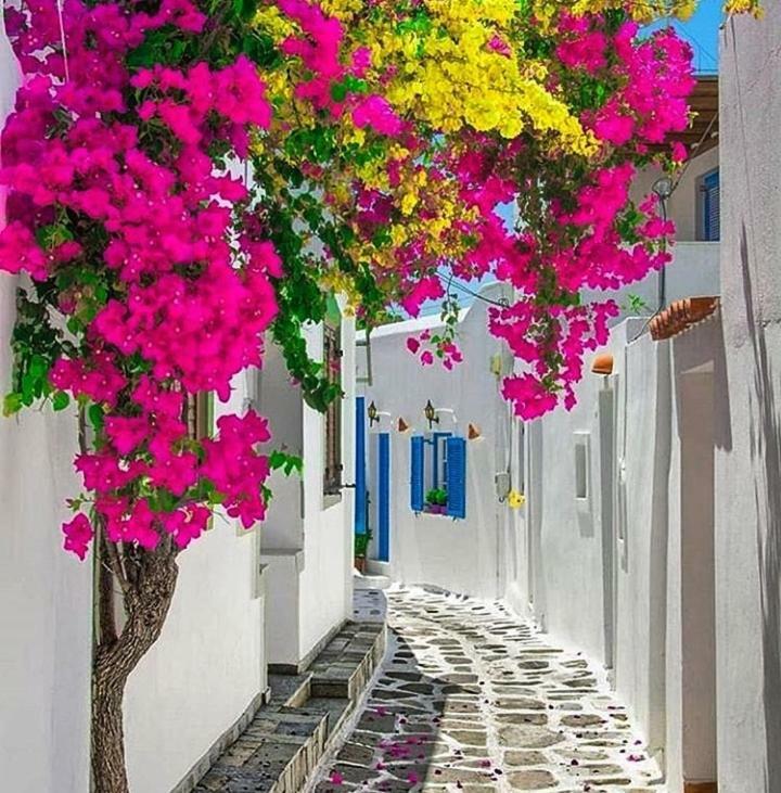 Appartamento Melina'S House Mykonos Town Esterno foto